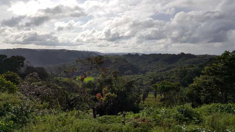 Sierra Leone Countryside